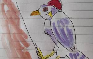 キツツキさん - おかず