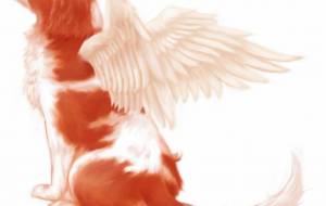 ルーチェ - 風見トモヒロ