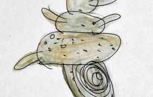 貝殻もどき - 空叶論