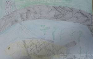 こい - ゆうき