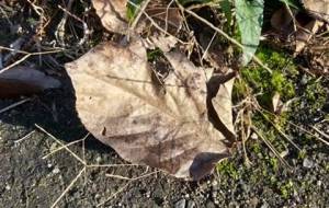 人間を幸せにするのは愛、愛意外にない - 真鍋哲地