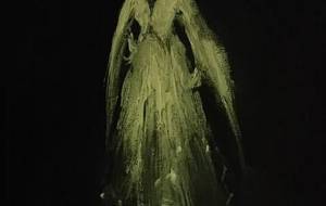 ファッションアート白色鳥女子 - 真鍋哲地