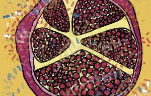 ざくろ - のんき のこ