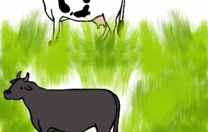 昼下りの牛さん豚さん達 - しずく