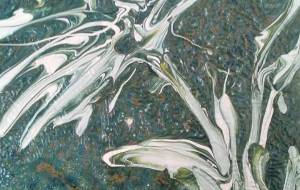 にっこうきすげ - 久保田 俊