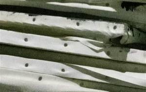 人生?期待しすぎたんだ、とらぬ狸のかわざんぎょう - 真鍋哲地