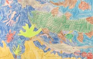 シーラカンス - 鉄人