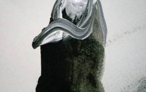 根性ある、多分? - 真鍋哲地