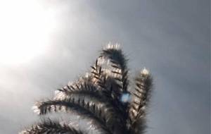 何故、君と僕、光り - 真鍋哲地