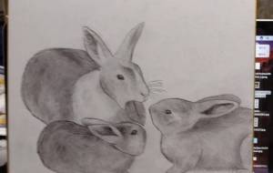 うさぎの家族 - 伊藤恵美里