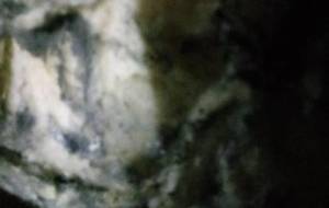 精神障害者の愛 - 真鍋哲地