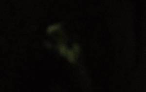 暗闇、精神、幽閉 - 真鍋哲地