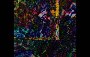 四季の國 - しょも