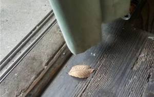 今日のお客様 - 真鍋哲地