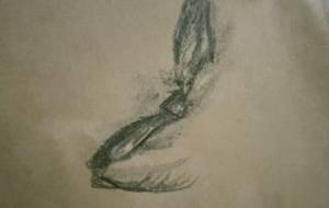 僕は死なない家族を命懸けで守る - 真鍋哲地