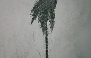 カラスお前、なに食ってる俺もろくなもの食ってねーっ - 真鍋哲地