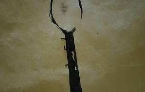 すぷーん - 真鍋哲地