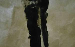 らいたぁー魚拓 - 真鍋哲地