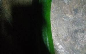 去るべきでしょうか? - 真鍋哲地