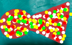 カラフル1 - 笹谷正博