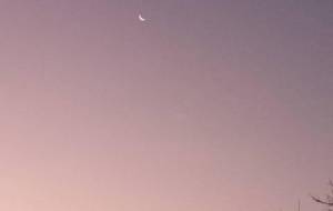 お願いします、誰か慰めて - 真鍋哲地