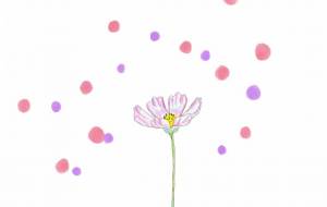 コスモス - とん