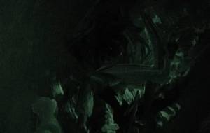 死に場所探す化け者(例えば精神病院) - 真鍋哲地