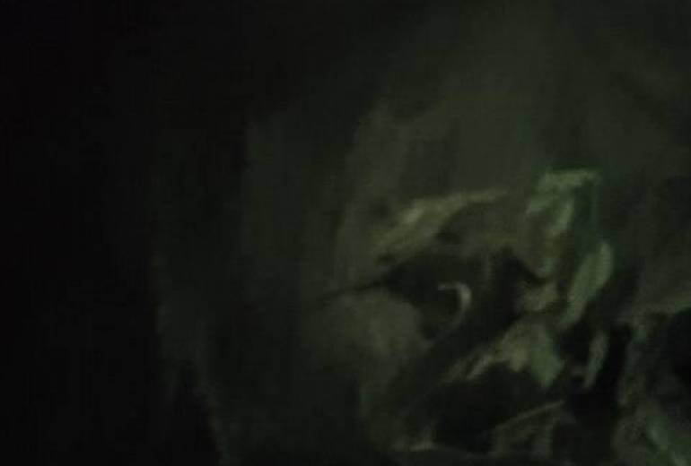 誰も助けてくれない、僕が死んでも誰も悲しまない