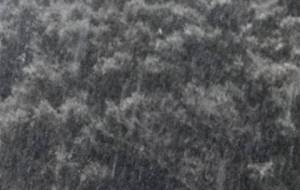 弟の悲しみ、雪のように - 真鍋哲地