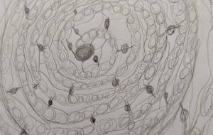 木枯らし - 夢見 ぴょんた