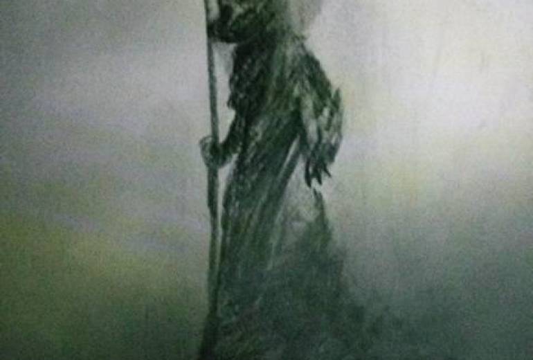 サバンナ黒豹女王