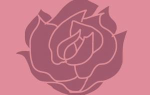 ローズ・ビュヴァール - 橘 木竜