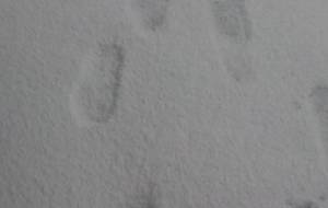 雪、僕の足跡、僕はここに - 真鍋哲地 