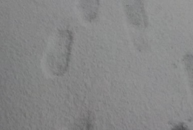 雪、僕の足跡、僕はここに