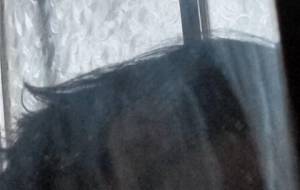 カガミの投影症候群 - 真鍋哲地