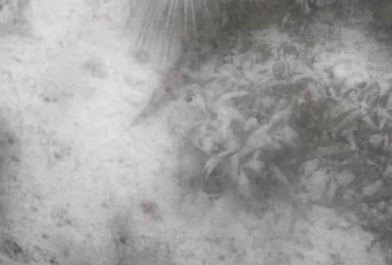 この家、廃墟になっても(思い出、愛は消えない）