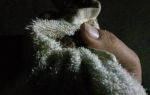 もし弟が命、果てたら辛ったね、苦しかったね - 真鍋哲地