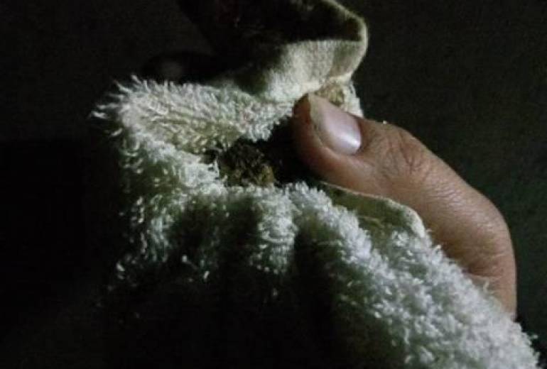 もし弟が命、果てたら辛ったね、苦しかったね