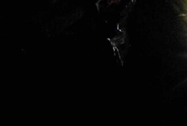 袋麺、弟と二人、わけて食べた