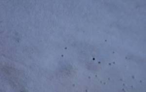 お前強いなぁ - 真鍋哲地