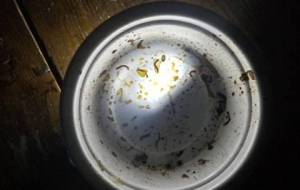 貧困者、誰も僕を相手にしない、母さんは愛してくれた - 真鍋哲地