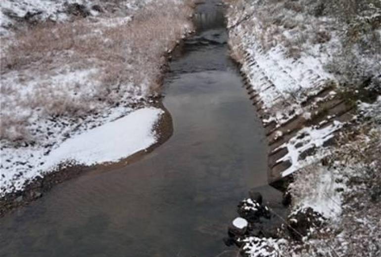 悲しみ貧困者系譜