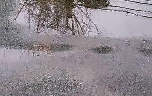 投影水たまり - 真鍋哲地