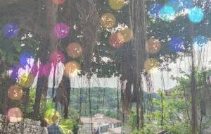 石畳に降るキジムナー - Amy