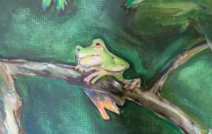 かえるさん - み