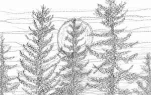 Grow And Glow - GUSSAN