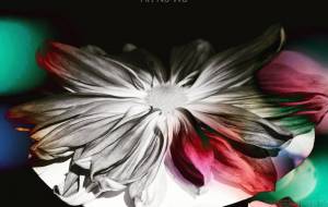 花の写真 20230102 - うっち