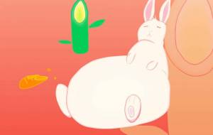 正月太りしたうさぎ - よこぼう