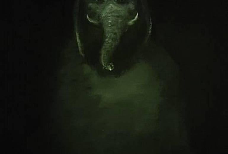 ガネーシャ奇跡を父や母を