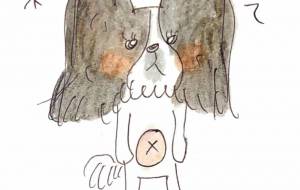 パピヨン - 空叶論